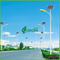 عالية الكفاءة IP68 50W الطاقة الشمسية أضواء الرصيف مدعوم مع SONCAP معتمد