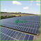 34MW الكريستالات الشبكة متصلة مقياس كبير للطاقة الشمسية الضوئية النباتات الطاقة