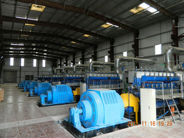 60MW المولد محطة الطاقة