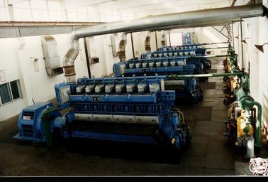 60MW المولد محطة الطاقة