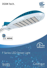 110 lm/w IP65 قوة عال led طريق ضوء 100 واط مع عدسة بلاستيكيّ